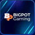 99LUCK game provider logo